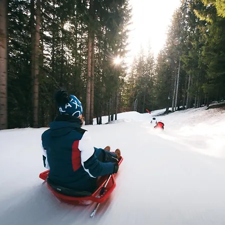 2 Pieces Confortables, Skis Aux Pieds, Proche Commerces - Fr-1-182a-1 كورشوفيل